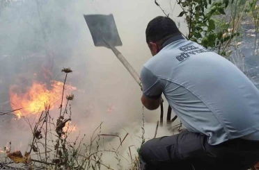 Yangını söndürmek içi devlet-millet seferber oldu 