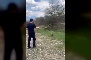Yanına yaklaşan tilkiyi elleriyle besledi 
