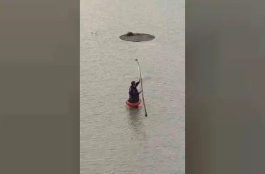 Yapay gölette mahsur kalan tilkiyi itfaiye kurtardı 