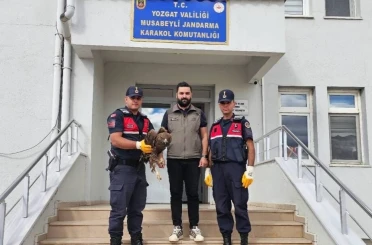 Yaralı halde bulunan kartal koruma altına alındı 