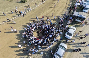 Yarışta çarpışan iki at telef oldu, jokey son anda atlayarak kurtuldu 