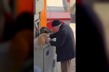 Yaşlı adamın sokak kedilerine şefkati yürekleri ısıttı 