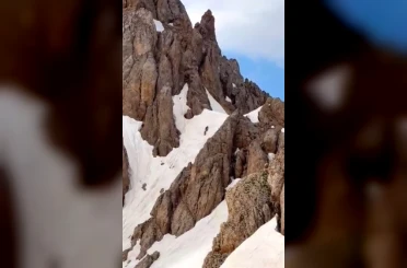 Yaz ortasında karlı zirvede ayı sürprizi 