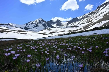 Yaz ortasında kışın hüküm sürdüğü eşsiz coğrafya: Artabel 