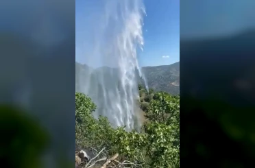 Yemek ısıtmak için yaktığı ateş incir bahçesini kül etti 
