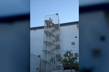 Yeni bir dilenme metodu ortaya çıktı 