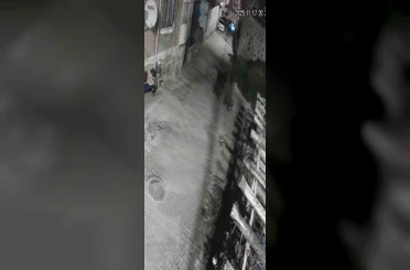 Yerleşim alanına inen ayılar köy sakininden korkup kaçtı 