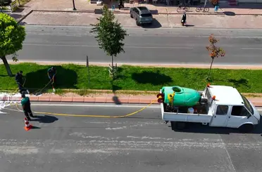 Yeşil alanlarda hastalık ve zararlılara karşı mücadele sürüyor
