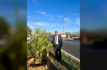 Yeşil Sultanhisar için ağaçlandırma çalışmaları sürüyor 