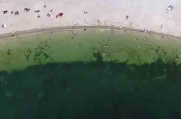 Yeşilköy sahilinde kirlilik alarmı
