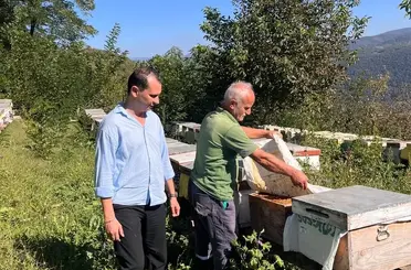 Yığılca’da arılı kovan tespit çalışması
