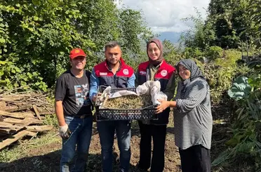 Yığılca’da salep üretimi yaygınlaşıyor
