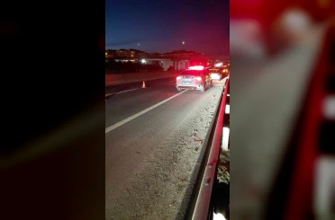 Yola çıkan atlar zincirleme kazaya neden oldu 
