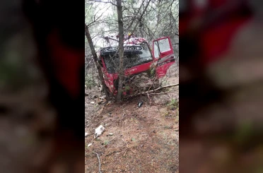 Yoldan çıkan vinç ormanlık alana daldı 