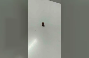 Yorgun mermi iş yerine isabet etti
