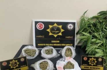 Yozgat’ta 257 gram esrar ve 13 kök Hint keneviri ele geçirildi 