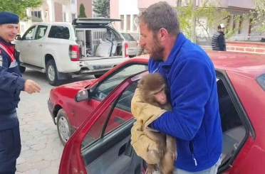 Yozgat’ta Hint Şebeği olarak bilinen maymun jandarma tarafından yakalandı 