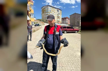 Yozgat’ta otomobile giren yılanı itfaiye ekipleri çıkardı 