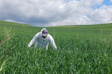Yozgat’ta süne mücadelesi başladı 