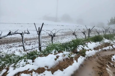 Yüksek kesimlerde ani hava değişimi üreticiyi zorladı 
