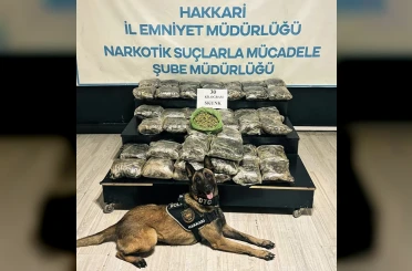 Yüksekova’da 30 kilo Skunk ele geçirildi: 2 şüpheli gözaltında 