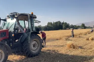 Yüksekova’da asırlık gelenek: İmece usulü hasat dönemi devam ediyor

