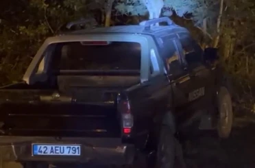 Yüksekova’da dost canlısı tilki: Önce arabanın üzerine çıkıyor, sonra elle besleniyor 
