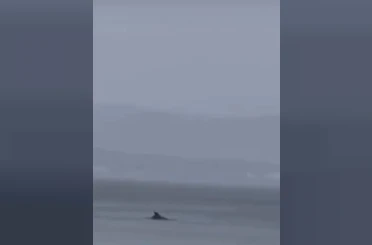 Yunus ailesi Mudanya’da yağmur altında görüntülendi 
