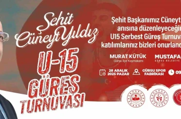 Yüzlerce güreşçi Gürsu’da bir araya gelecek 