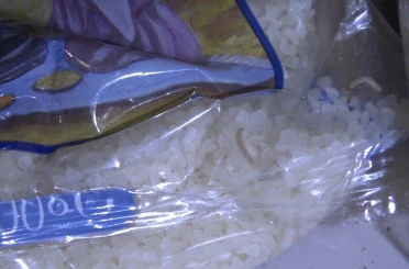 Zabıta denetiminde kurtlanmış ve böceklenmiş ürünler ele geçirildi 