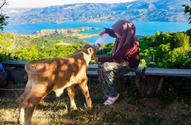 Zehra’nın hayvan sevgisi sosyal medyada ilgi odağı oldu 