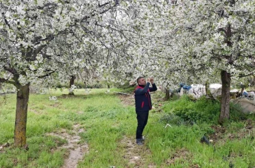 Zirai don uyarısı yapılan bölgelerde hasar tespit çalışması yapıldı 