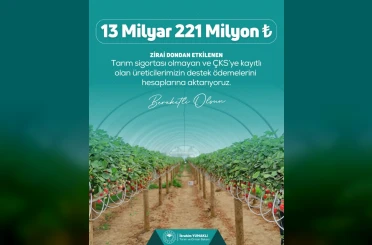 Zirai dondan etkilenen çiftçilere 13 milyar 221 milyon lira destek ödemesi yapılacak 