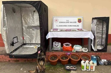 Zonguldak’ta jandarmanın uyuşturucu operasyonunda 2 şüpheli tutuklandı 