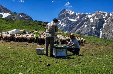 Zorlu yayla şartlarında tescilli lezzet üretiliyor 