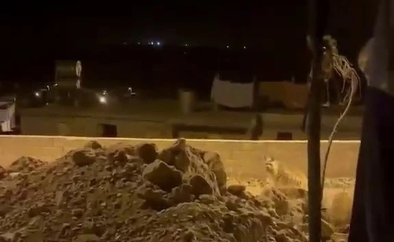 Adıyaman’da çizgili sırtlan evlerin bahçesinde görüntülendi 