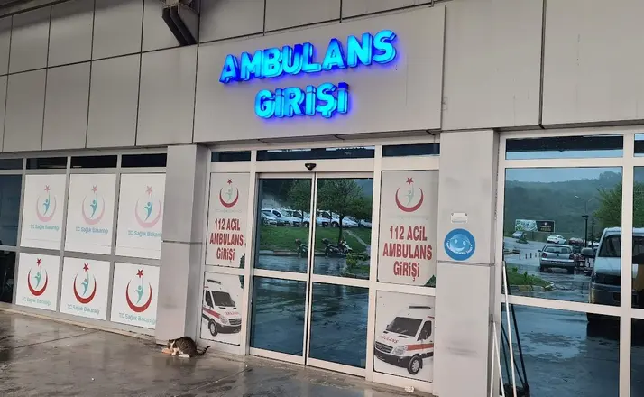 Ağaçtan düşen adam, merdiveni tutan kişiyi de yaraladı

