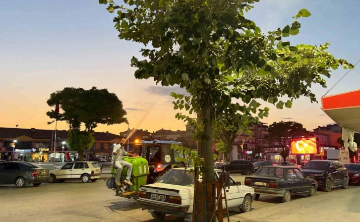 Alaca’da haşereye karşı ilaçlama çalışmaları hız kesmeden sürüyor 
