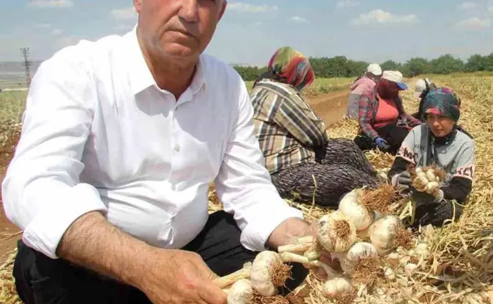 Altun’dan ’15 Ekim Dünya Kadın Çiftçiler Günü’ mesajı
