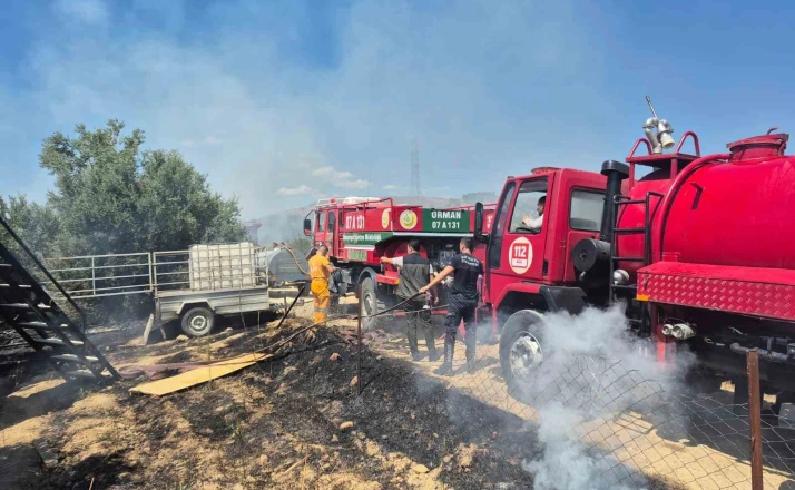Antik kente yakın zeytinlik alanda yangında 1,25 dönüm zarar gördü 