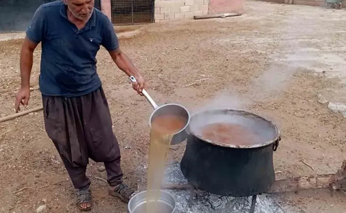 Araban’da gün pekmezi yapımına başlandı
