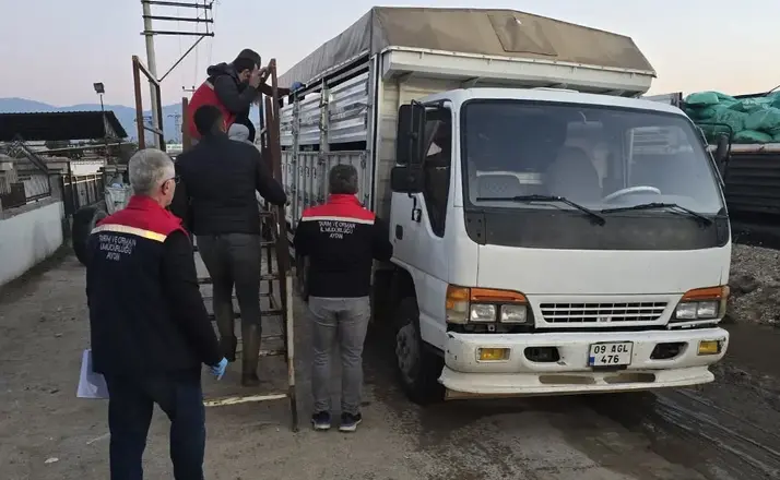 Aydın’da hayvan pazarında sıkı denetim
