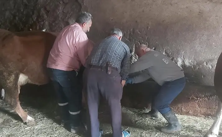 Aydıntepe’de yavru atık bildirimi üzerine saha çalışması yapıldı

