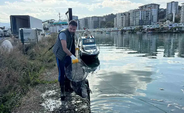 Balık çöplüğüne dönen liman temizlendi
