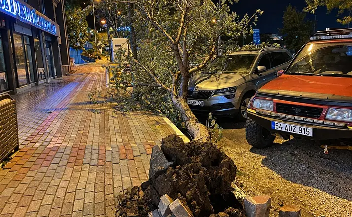 Bandırma’da fırtınada kökünden sökülen ağaç aracın üzerine devrildi
