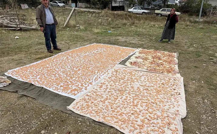 Boyabat’ta kış hazırlıkları başladı: Tarhana mesaisi
