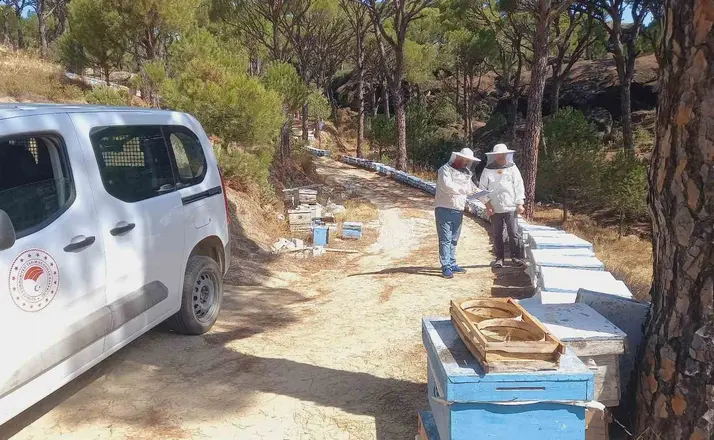 Bozdoğan’da arılı kovan desteği için sahada tespit çalışması
