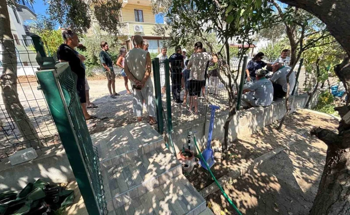 Burhaniye’de ağaç kesilmesine isyan 