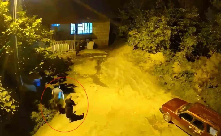 Cesaretleri ayının sesini duyana kadardı 