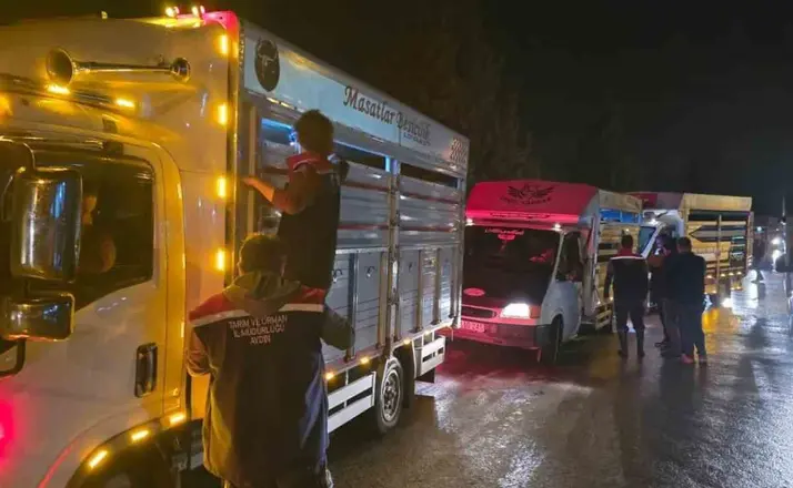 Çine Hayvan Pazarı denetimlerle yeniden açıldı
